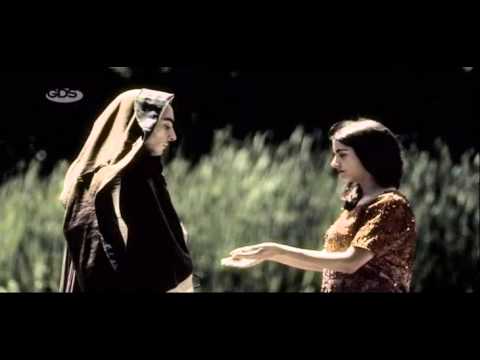 ასასინები Assassins