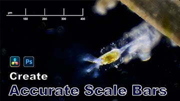 Creating Accurate Scale Bars for Microscopy
