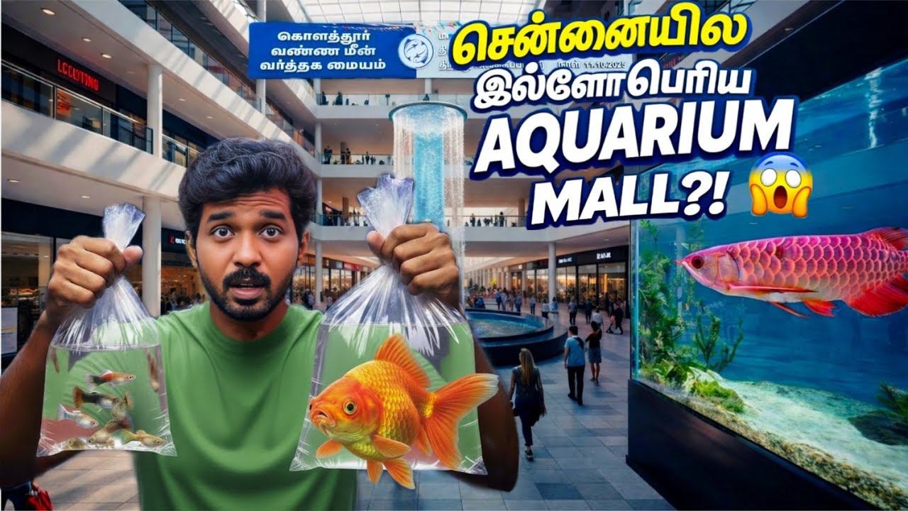 “கொளத்தூர்ல இப்படி ஒரு AQUARIUM MALL?! 😱 Ornamental Fish Trade Centre Chennai | MADDYMAX