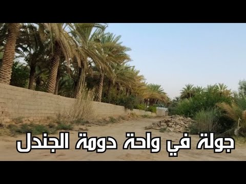جولة في واحة دومة الجندل أكبر واحة لنخيل حلوة الجوف