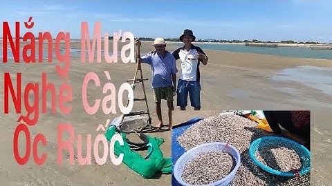 Nắng mưa nghề cào ốc ruốc || HTK channel trải nghiệm dân dã
