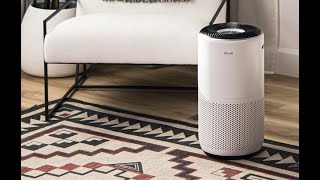 Best Air Purifiers 2025 🔥 Top 3 Air Purifiers for Clean Air & Allergies! Expert Reveals Top 5 Air Purifiers For High Elevation Colorado Cities
