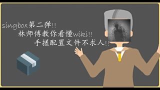 singbox教程第二弹!!你也能成为大佬!!看懂官方wiki,从此手搓不再难!!