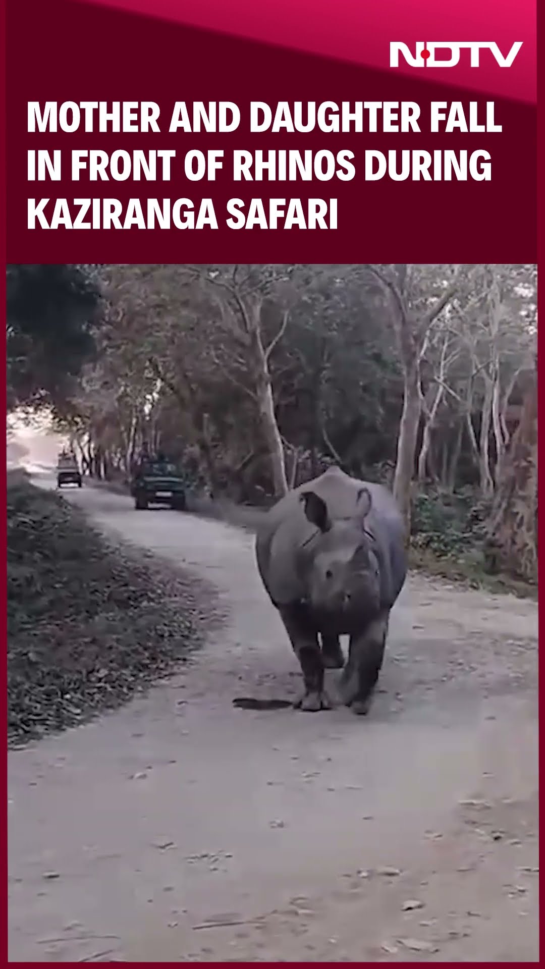 Kaziranga National Park | 2 Women Fall In Front Of Rhinos In Kaziranga. Here’s What Happened Next