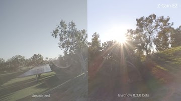 Gyroflow 0.3.0 Beta and Decoy w/ E2 + 7.5mm