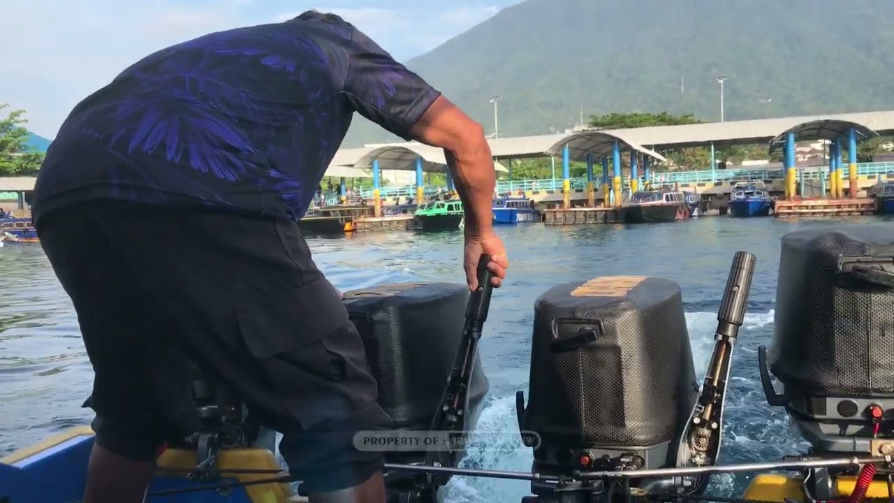 Pagi Ini Laut Tenang Banyak Lumba Lumba