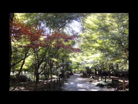 初冬の平林寺散策.