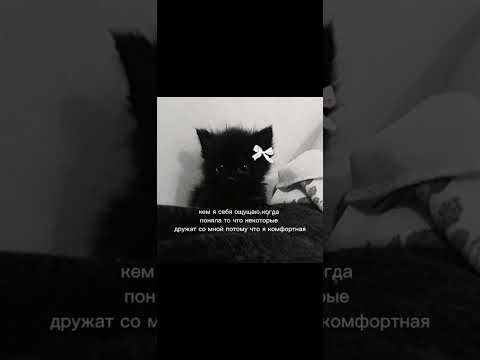 мдаа активпж пустьзалетит активвернись залити актив рееккк Fyr Fup Fyr Fup Fyr Fup