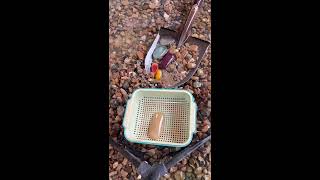 🍓 Live Stream 🍓 2026-08-10 00:01:52