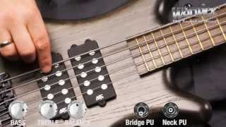 The Warwick Corvette $$ 5-String - with Andy Irvine chords