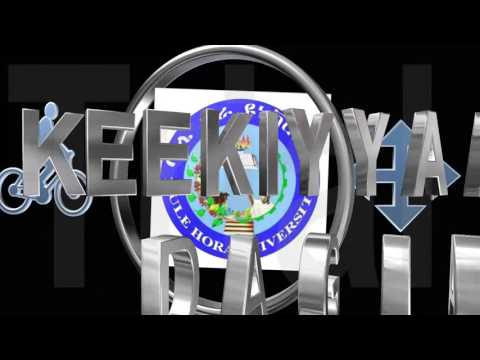 Bule Hora University