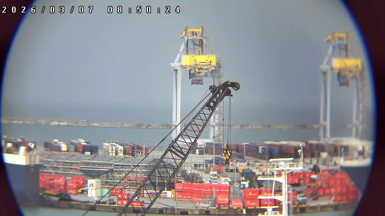 🟤🛳️🚚 #はたらく港  那覇新港   LIVE コンテナ OKINAWA  NAHA PORT  コンテナ船 ガントリークレーン