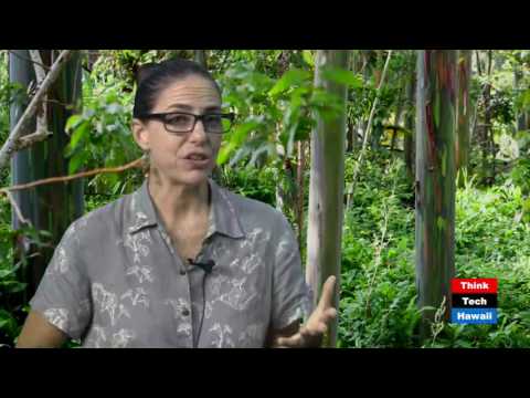 Video: Climate Victory Garden Initiative – Che cos'è un giardino della vittoria sul clima