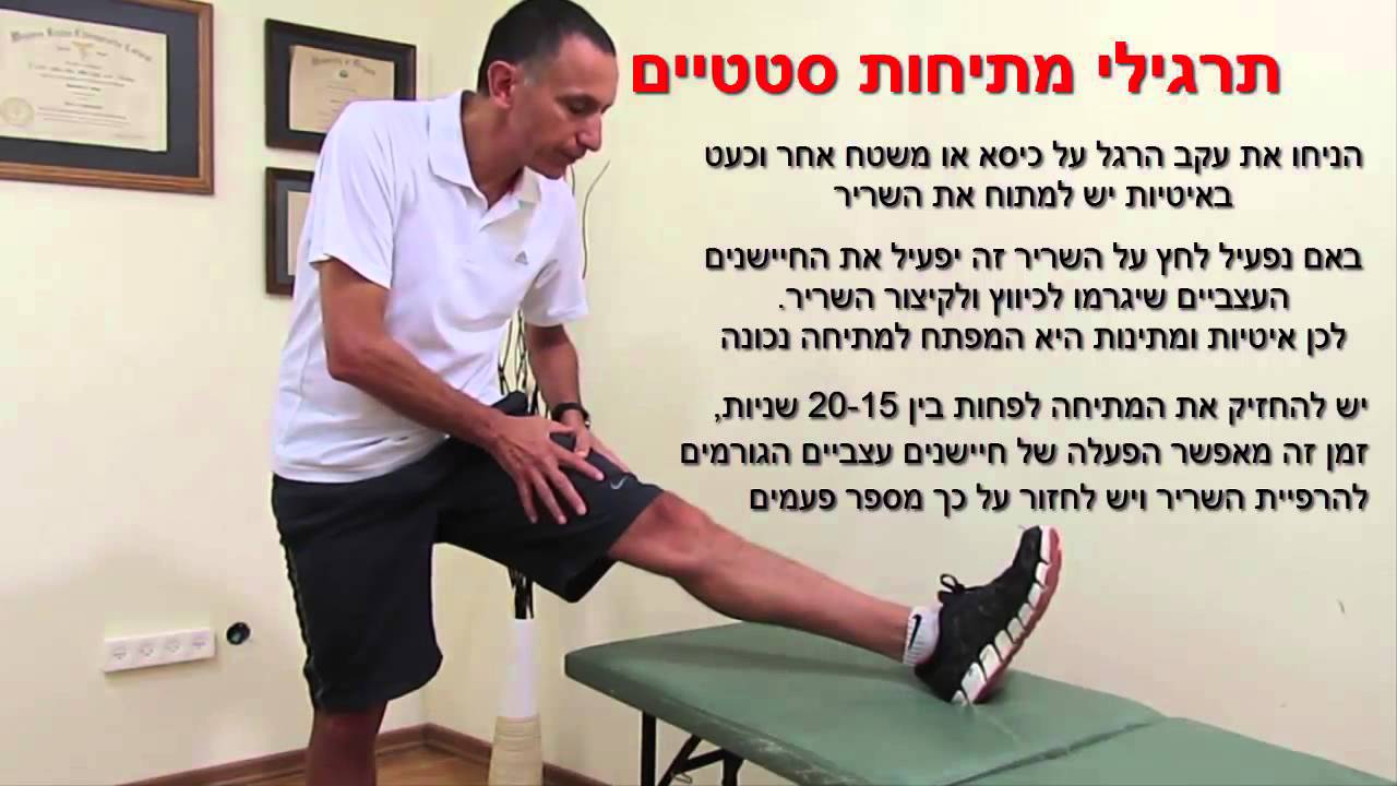 תרגילי גמישות - מהו הבסיס המדעי? כיצד? ומתי רצוי לבצע  - ד