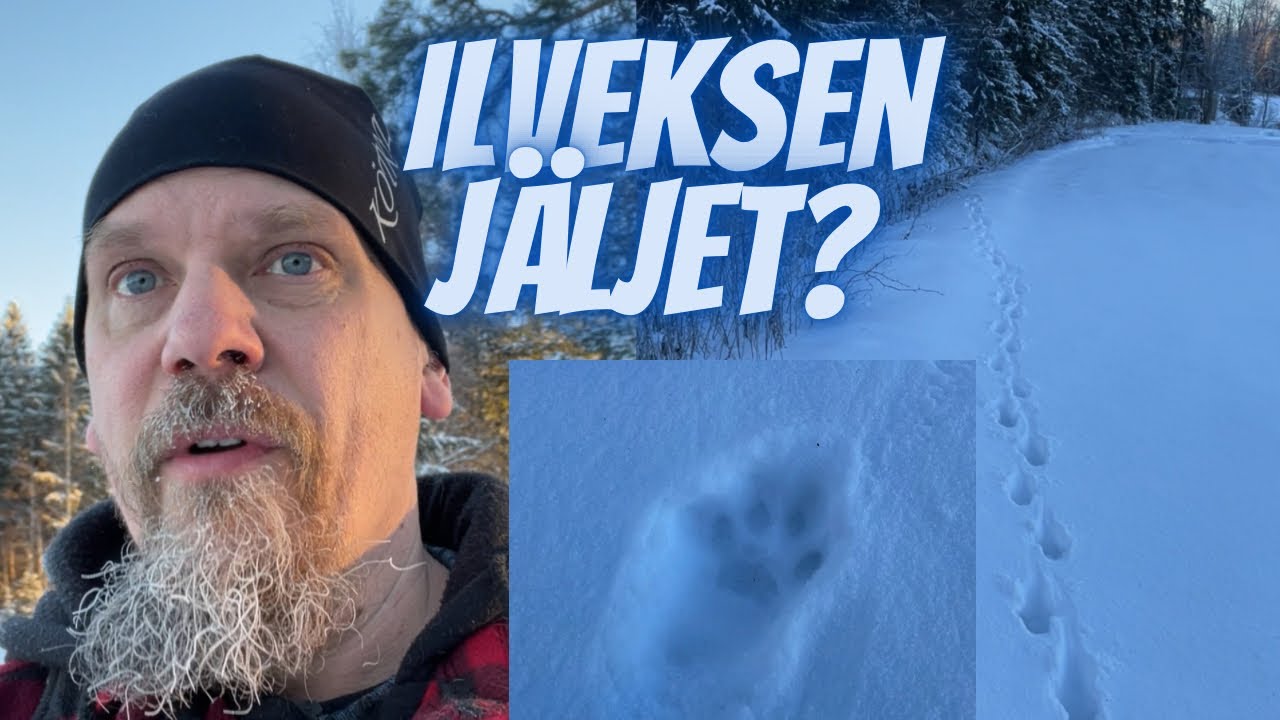 Ilveksen Jälkiä ihmettelemässä | Kanavasuositus | Rode Capture ja monivideo iPhonella
