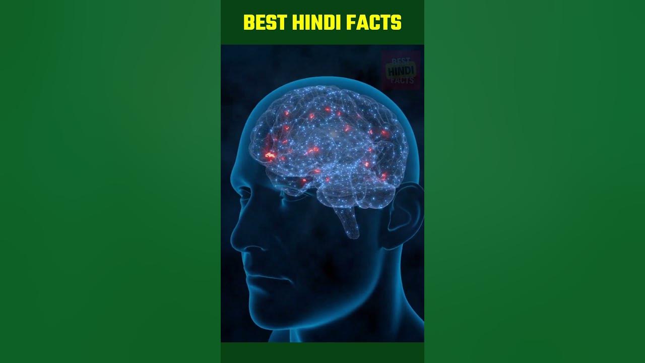 Bloody Mary Facts facts bloodymary hindifacts YouTube bloody-mary-facts-facts-bloodymary-hindifacts-youtube