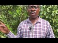 Akasaguffa Kakola Nyo Kubalumizibwa Munyiingo Akasaguffa Kakola Nyo Kubalumizibwa Munyiingo