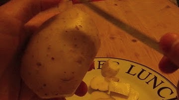 Levallois lithic reduction method tutorial for neurolinguistics experiment