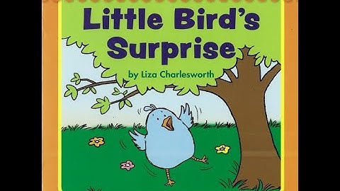 First Little Readers - Level D - 22 - Little Bird
