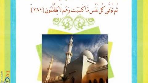 تلاوة خاشعة للقارئ عادل ريان من سورة البقرة
