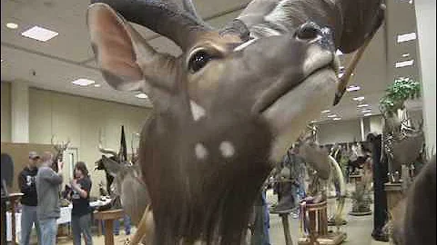 Outdoors Ohio - Taxidermy Part 1