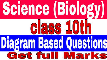 Science class 10th important questions, Diagram based questions, science by Amit sir, Biology ques.