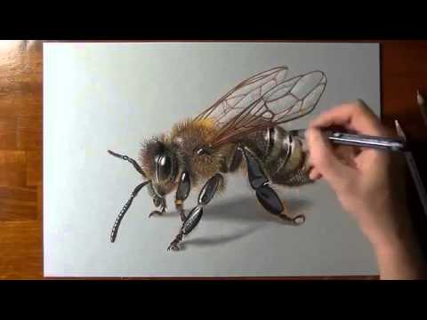 Wow Amazing Lukisan Lebah Nyata Buanget Youtube Gambar