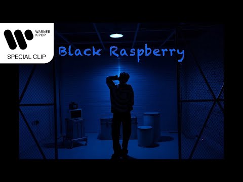 Holynn - Black Raspberry [Lyric Video]