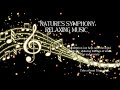 Healing Piano Music in Nature's Embrace