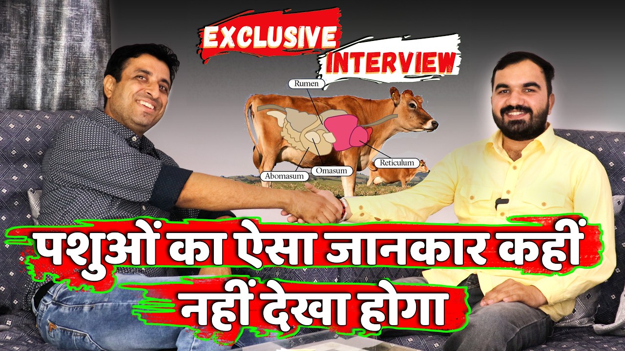 Interview with animal diet expert | Tips for Boosting Milk Production | Care for Cows & Buffaloes