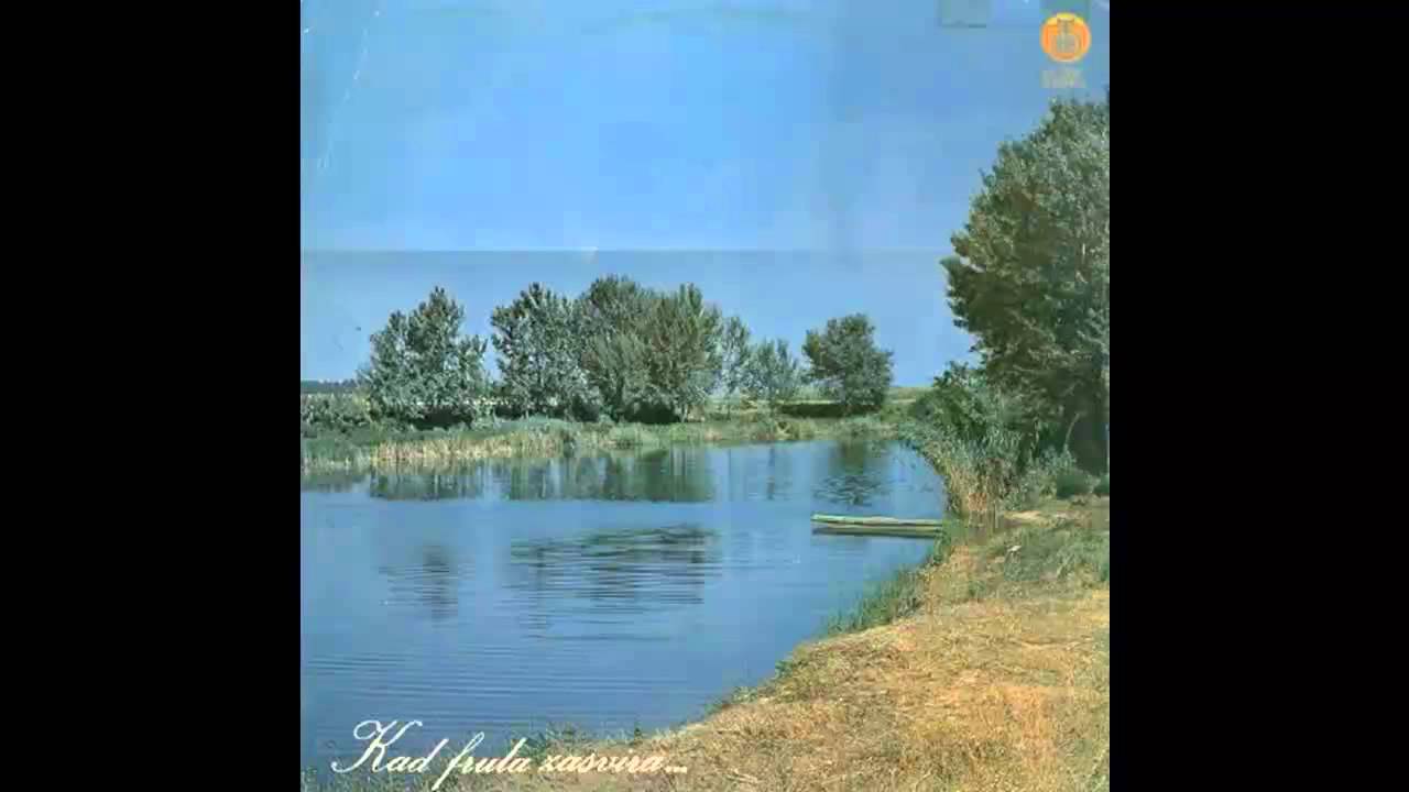 Dobrovoje Todorovic - Kosmajsko kolo - (Audio 1975) HD