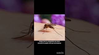 Mind blowing facts. #shorts #facts #mindblowingfacts #mindblowing #mosquitofacts #uniquefacts #fact