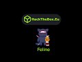 HackTheBox - Feline