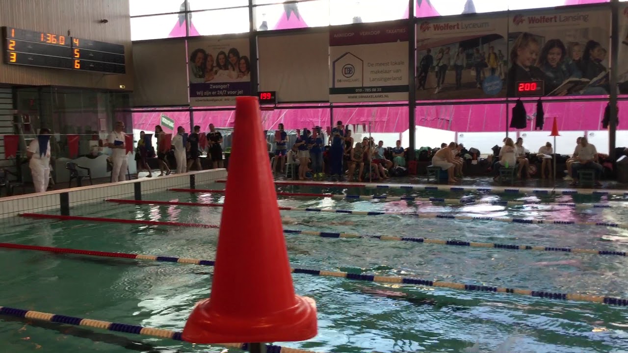 Albion swimming videos YouTube