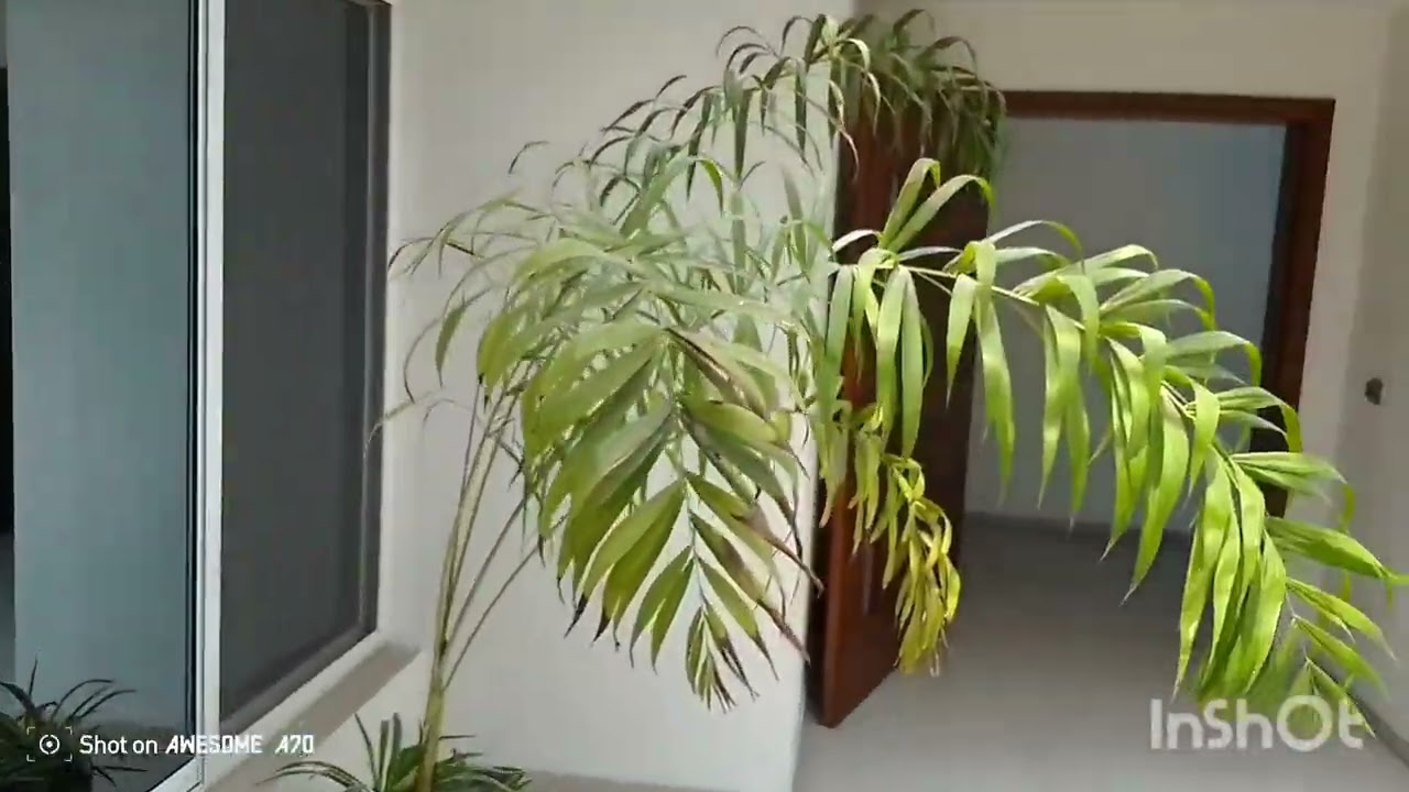 Archit Consult (+243)897255482: Fin des travaux chantier Limeté Funa. Début dela mise en location 