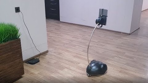 Telepresence Robot BotEyes in Action