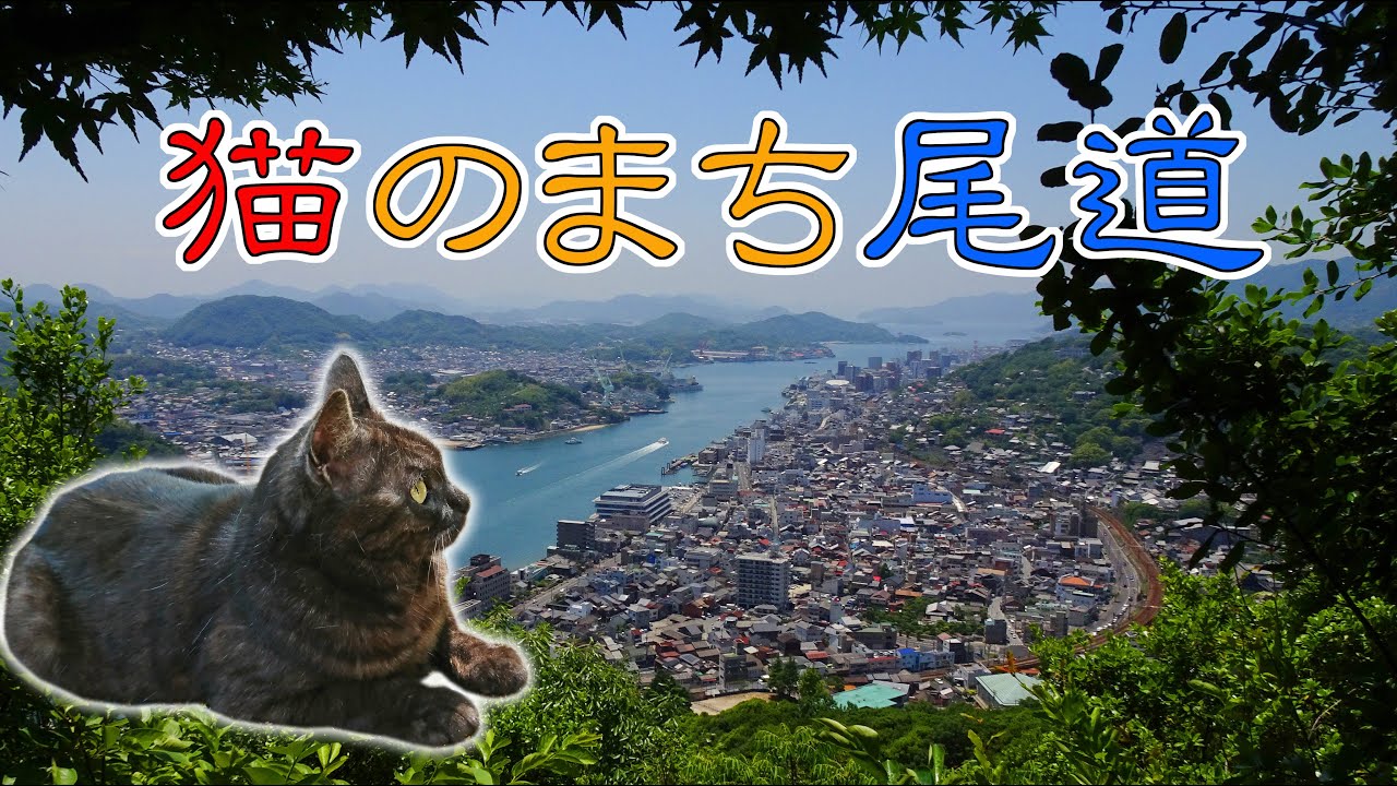 猫の街 尾道市 広島県 モンキーでお散歩ツーリング Youtube