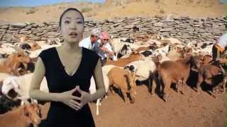 AREVA Mongol mon