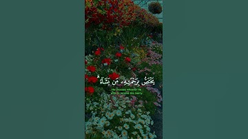 قرآن كريم #اكسبلور #المصحف #تيك_توك #القزابري #quran #راحة_نفسية #قران_كريم #لايك #العجمي