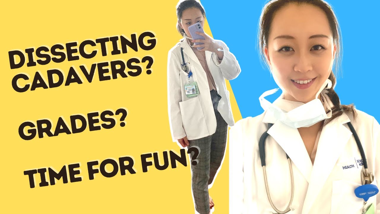 What is Medical School REALLY like? Human Dissections? Classes & Grades ...