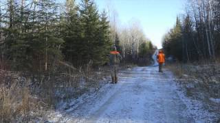 Grouse Hunting with Kap River Outfitter by Kent Jakusz 1,091 views 8 years ago 2 minutes, 12 seconds