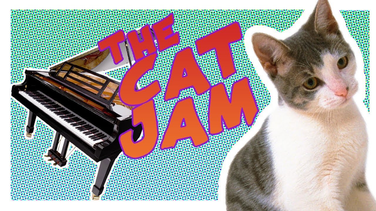 THE CAT JAM ! YouTube