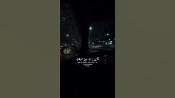 قران كريم|حالات واتساب|ماتيسر من"سورة الشعراء" الايه(217-220)