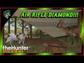 Diamond & Piebald Roe Deer with Air Rifle 🎯