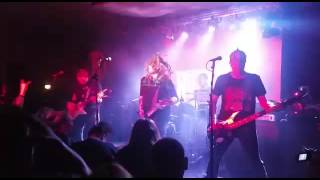 Dorylus - Icepick Lobotomy