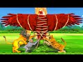 विशाल ईगल पक्षी जाल और शेर बचाओ Giant Eagle Bird Trap and Lion Animal Stories