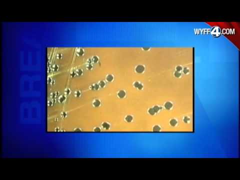 Health Advisory Issued After E. Coli Outbreak - YouTube