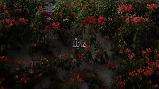سورة الضحي - بصوت القارئ أنس لهبوبي