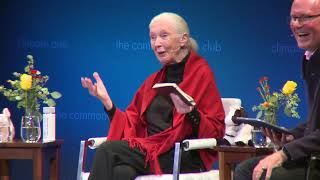 Jane Goodall: Celebrating 90 LIVE