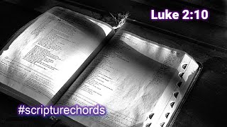Luke 2:10 With SOOTHING Array Mbira #scripturchords